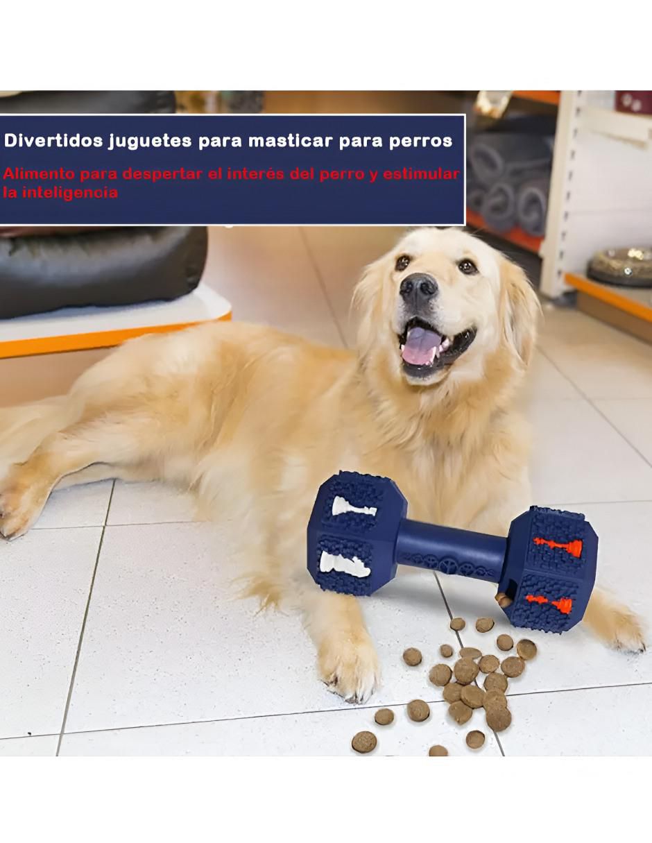 Juguete para perro 2