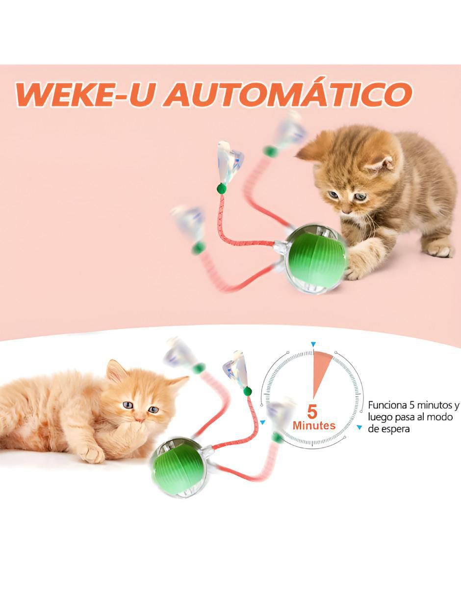 Pelota para gato 2