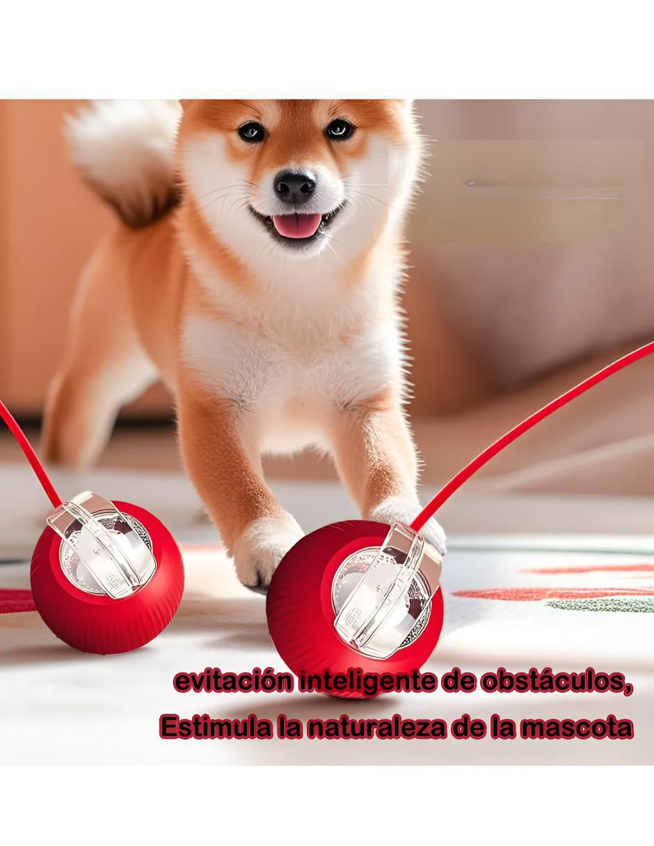 Pelota para gato 2