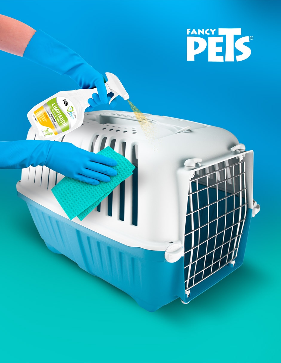 Solución limpiadora para perro 2