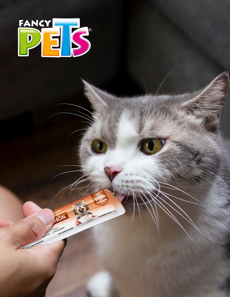 Premio de salmón para gato 56 g 2