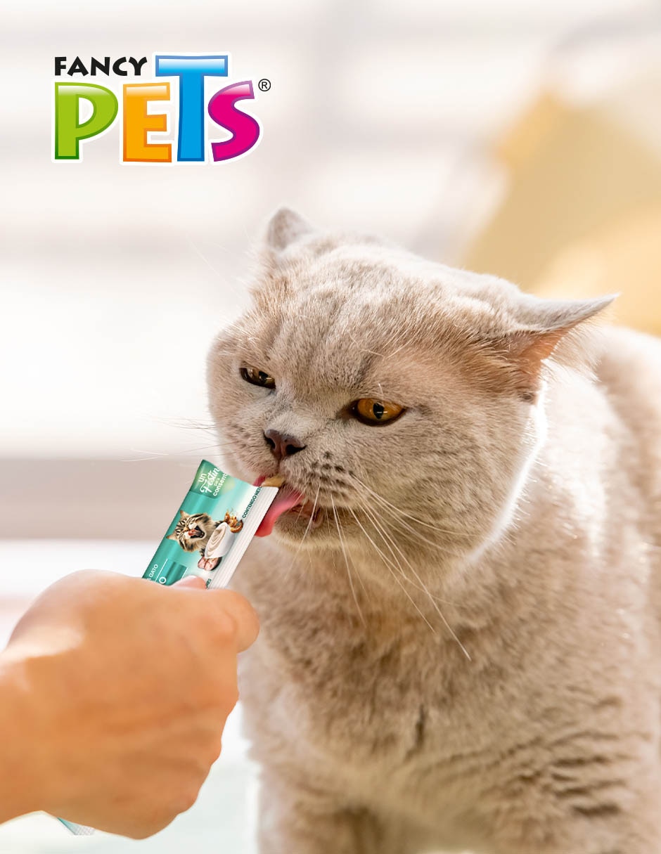 Premio de salmón para gato 56 g 2