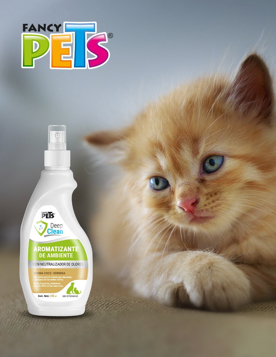 Solución limpiadora para mascota 2