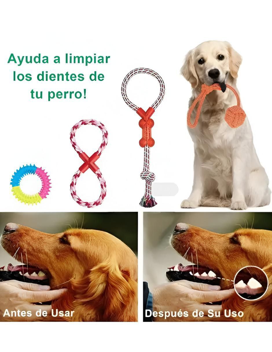 Kit de juguetes para perro 2