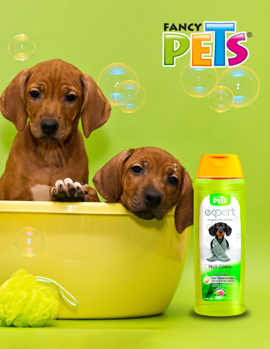 Shampoo "para" perro 2