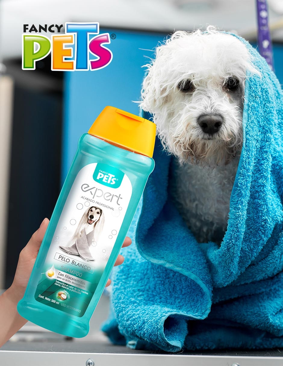 Shampoo para perro 2