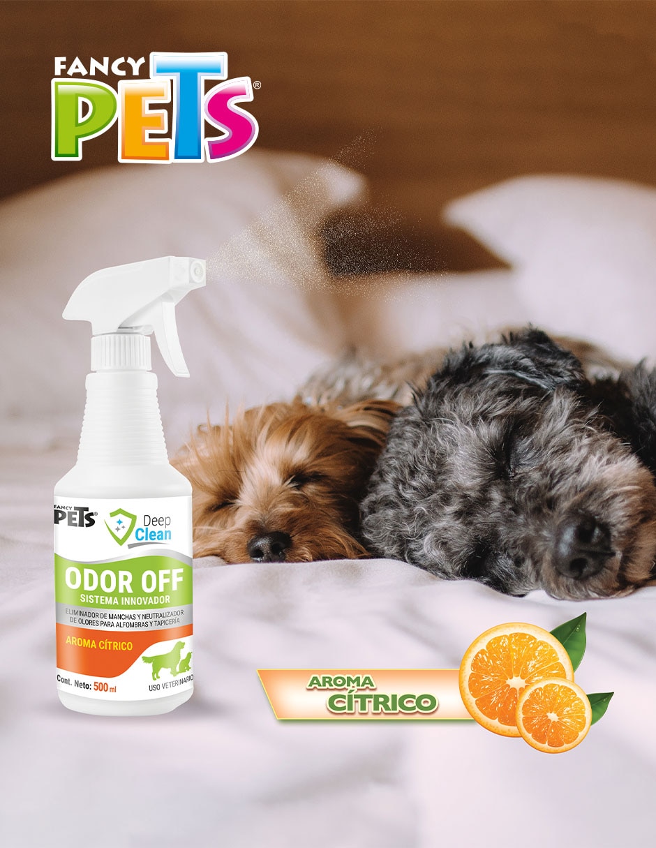 Solución limpiadora para mascota 2