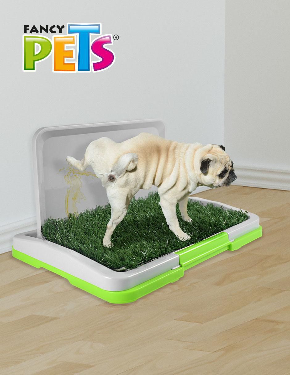 Tapete entrenador para perro 4