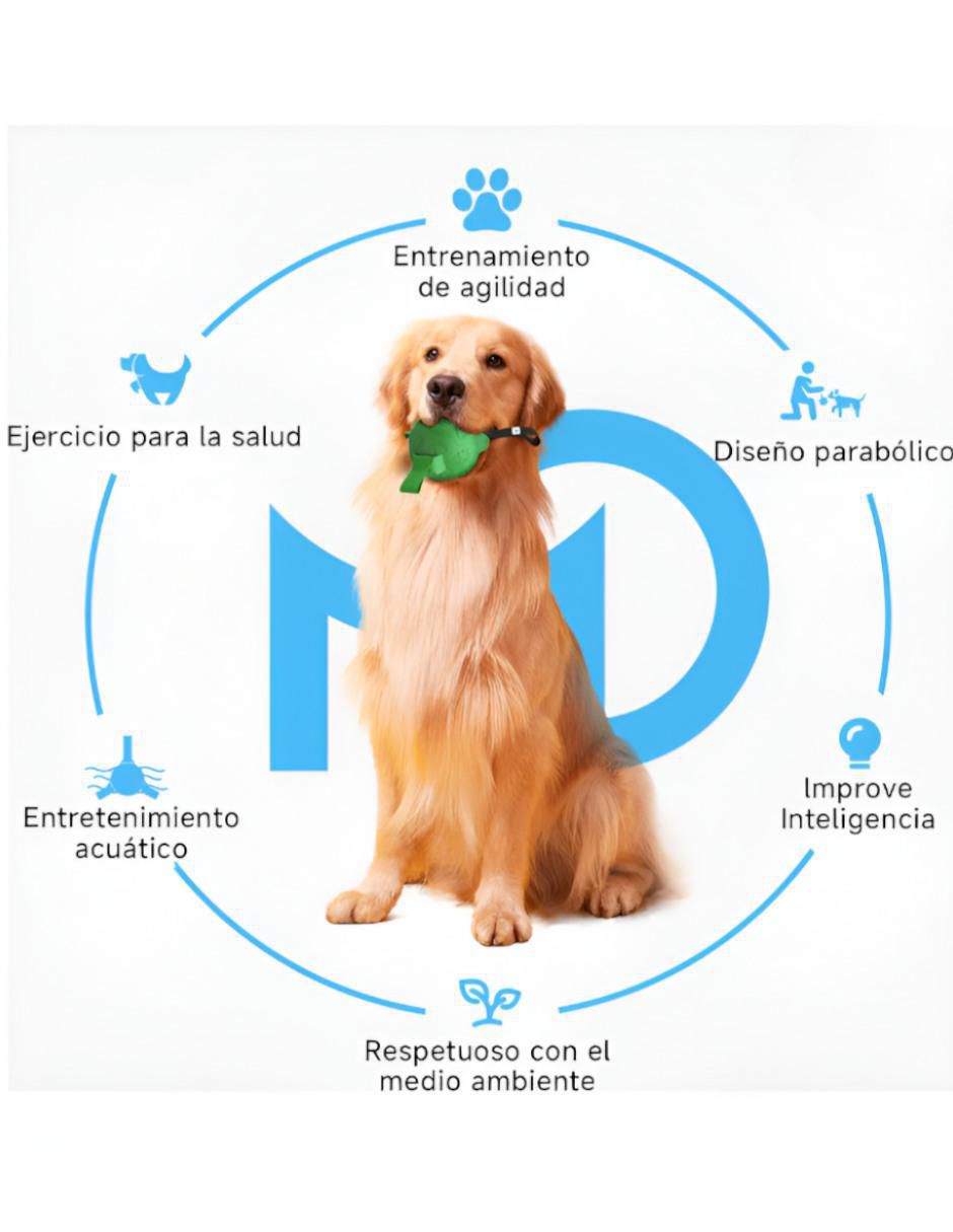 Pelota para perro 2