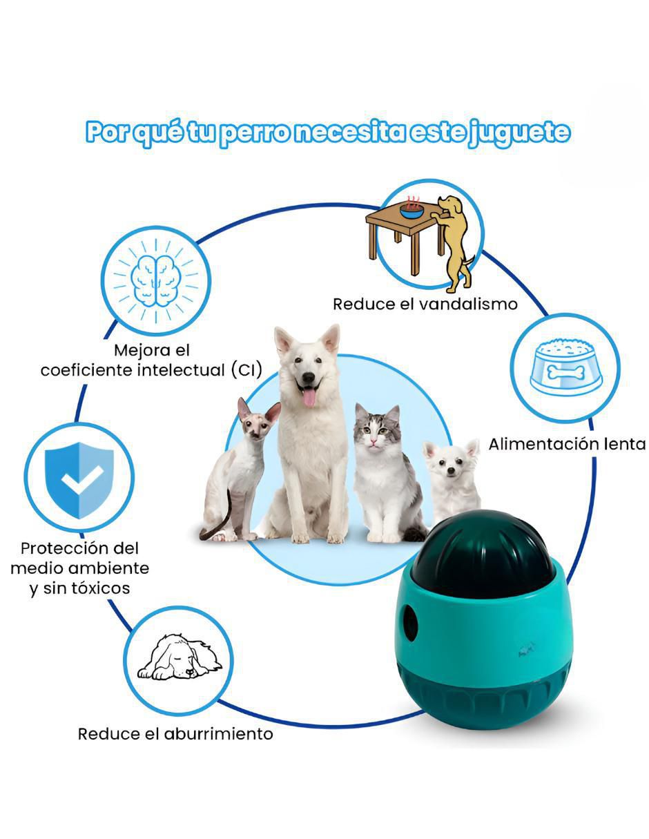 Pelota para perro 2