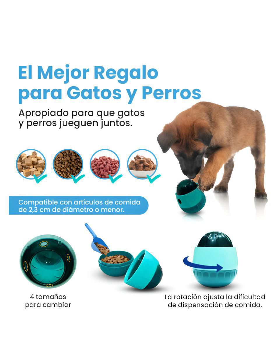 Pelota para perro 3