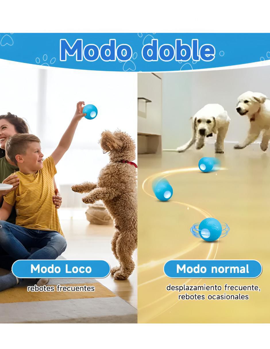 Pelota para perro 2