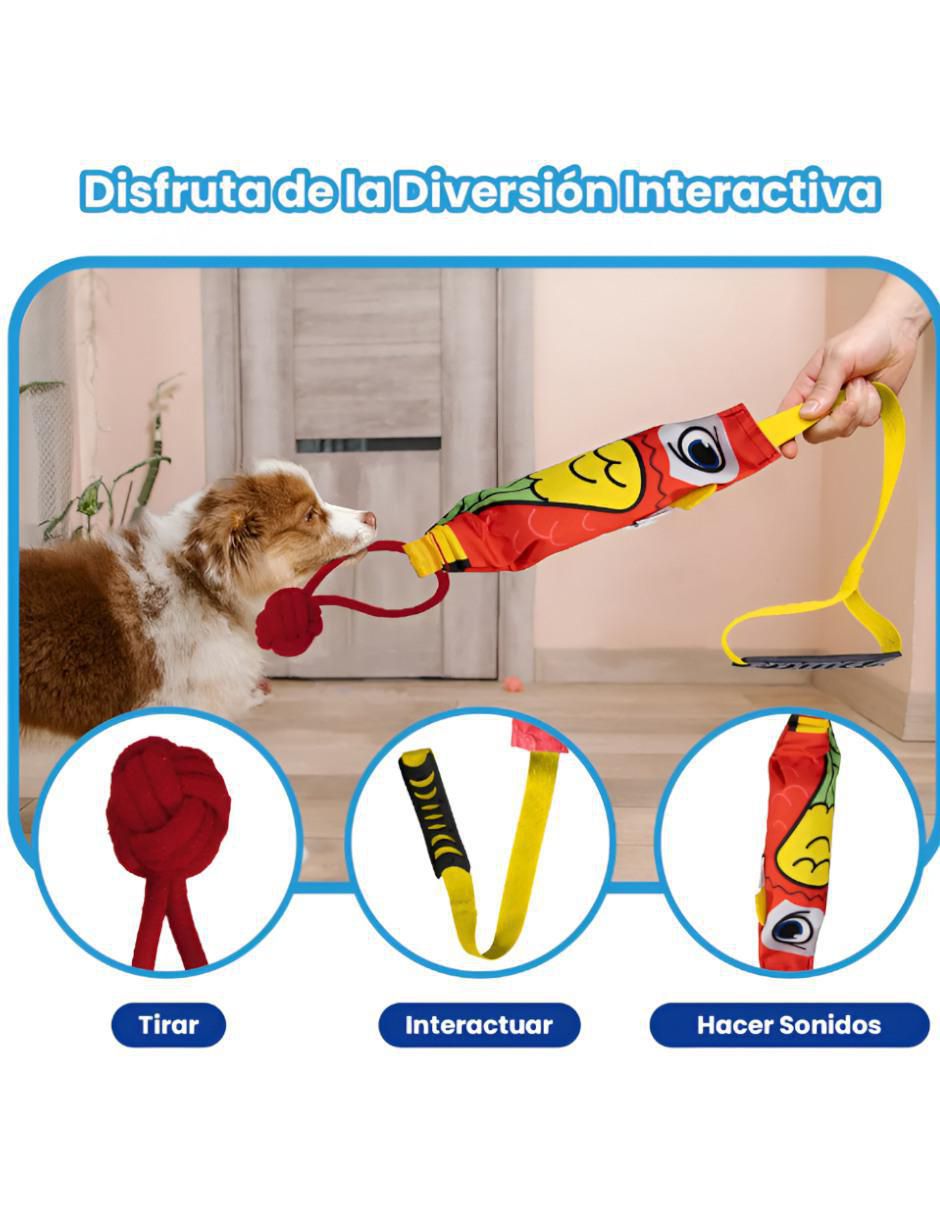 Juguete interactivo para perro 2