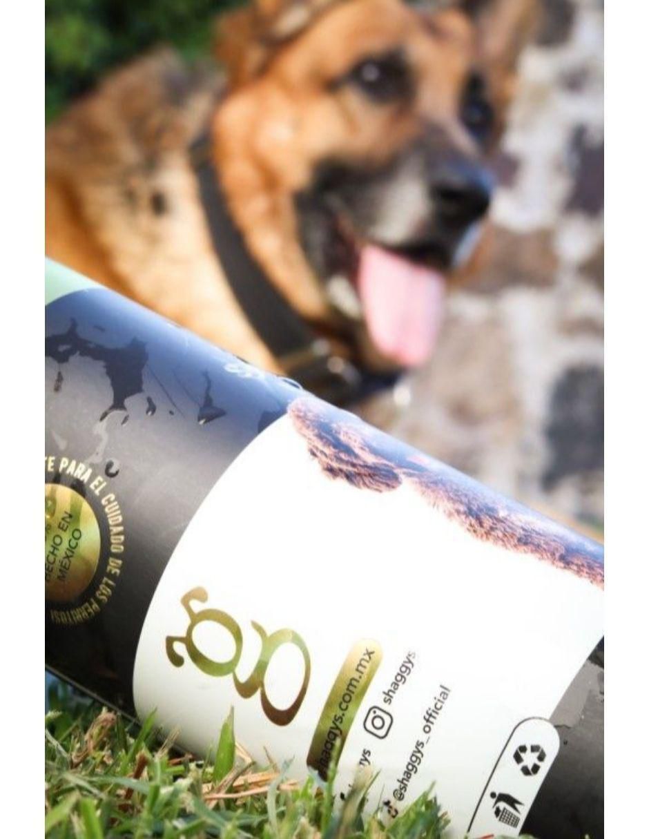 Shampoo para perro 4