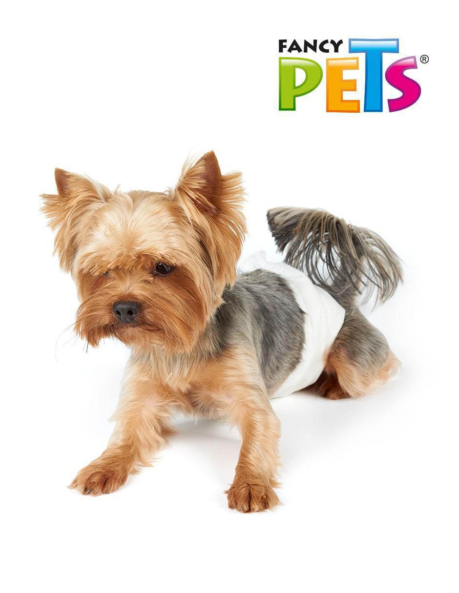 Pañal para mascota para perro 3