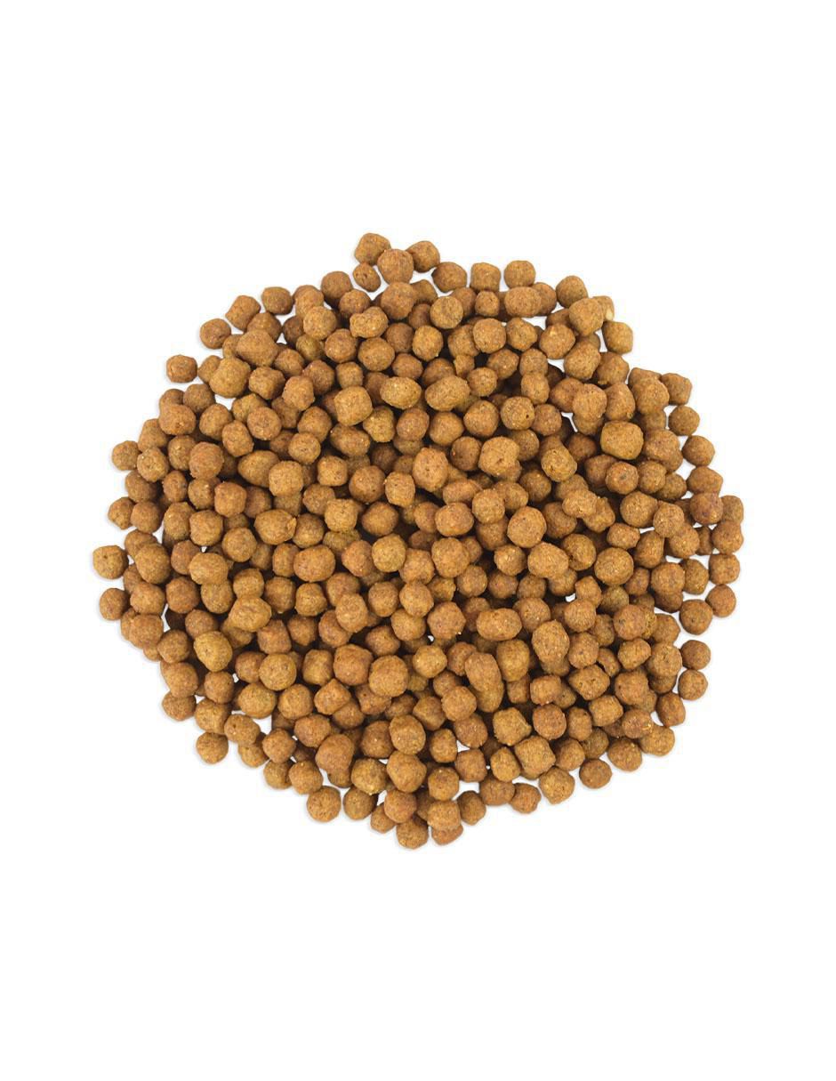 Croqueta de pollo para perro etapa adulto contenido 13 kg 3