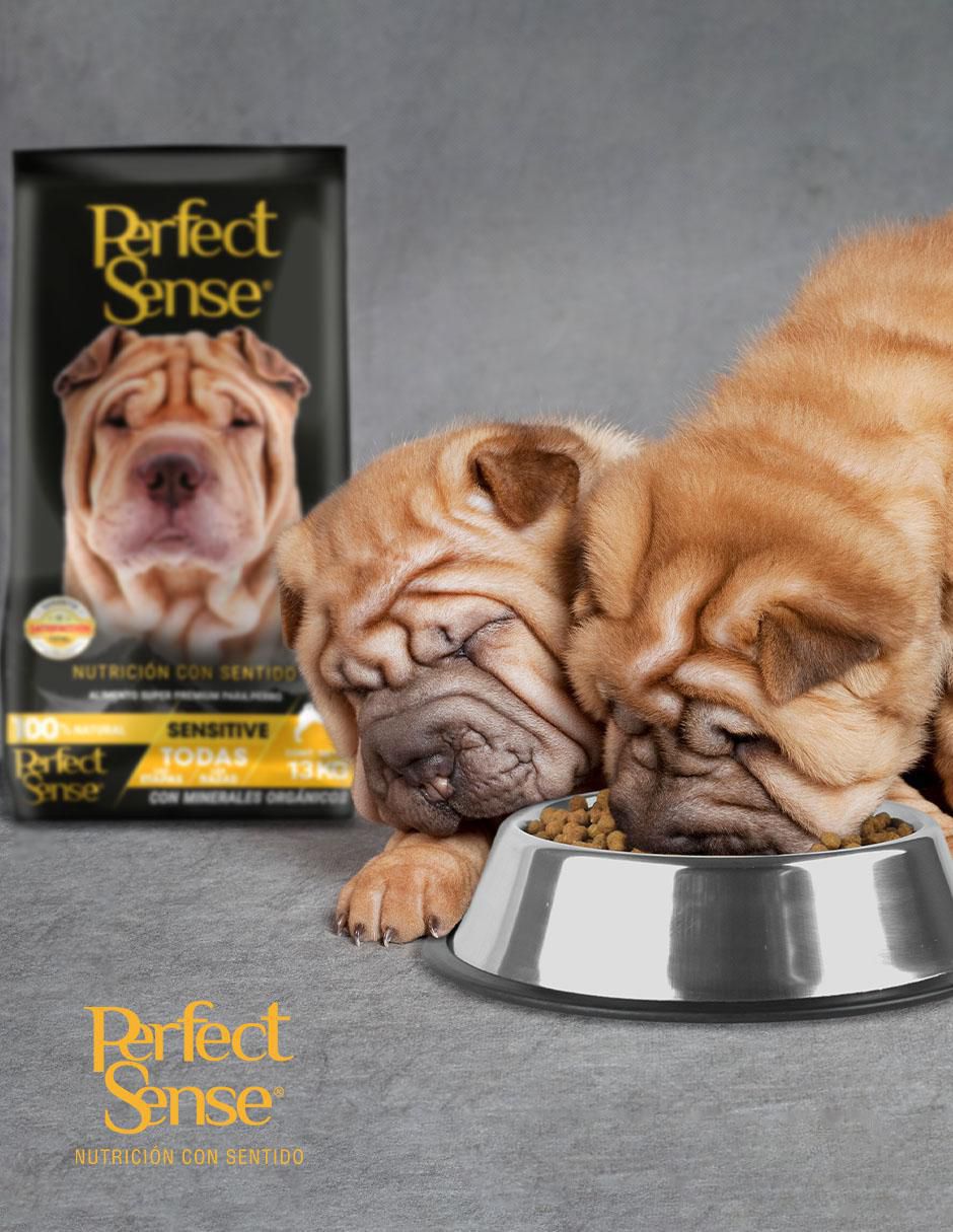 Croqueta de pollo para perro etapa adulto contenido 13 kg 4