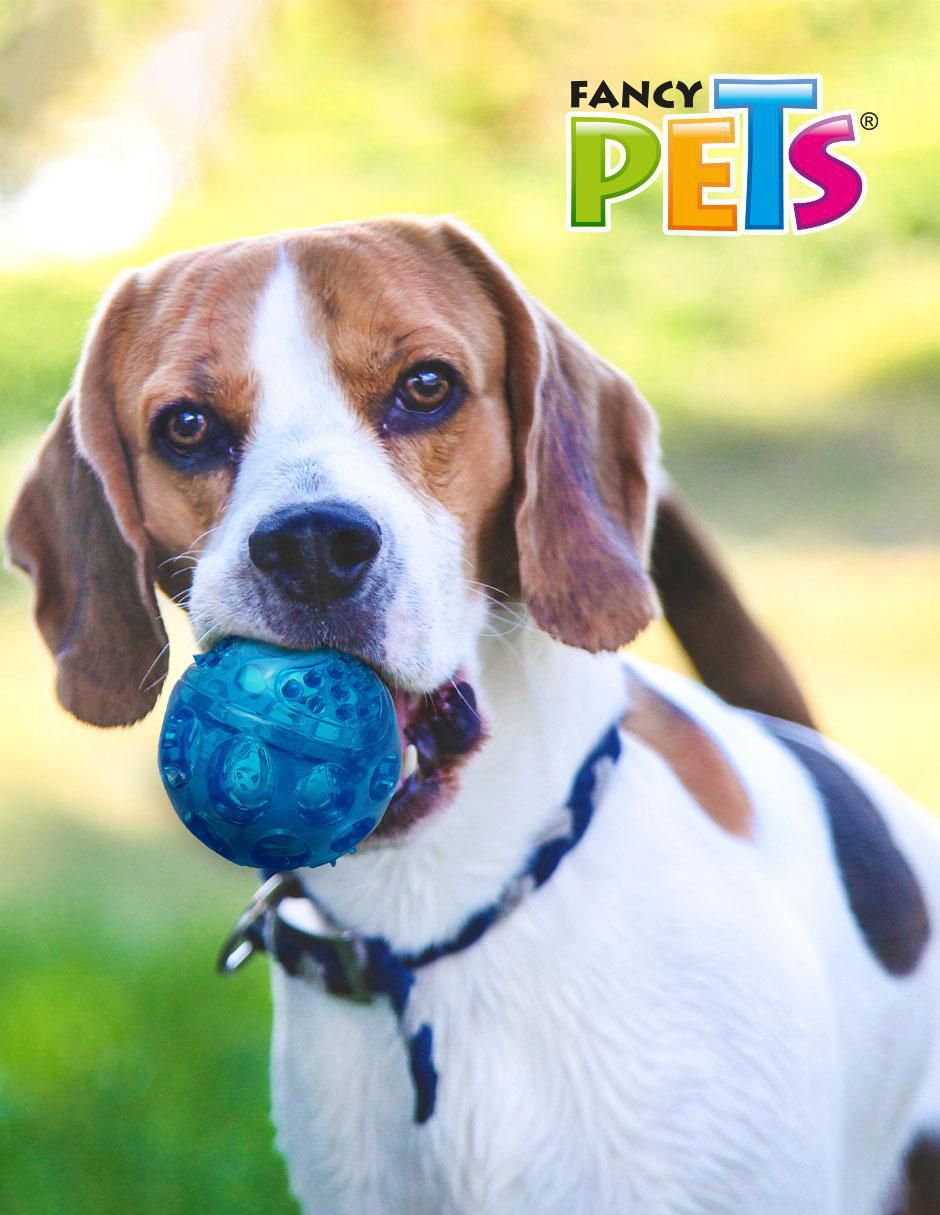Pelota para perro 3