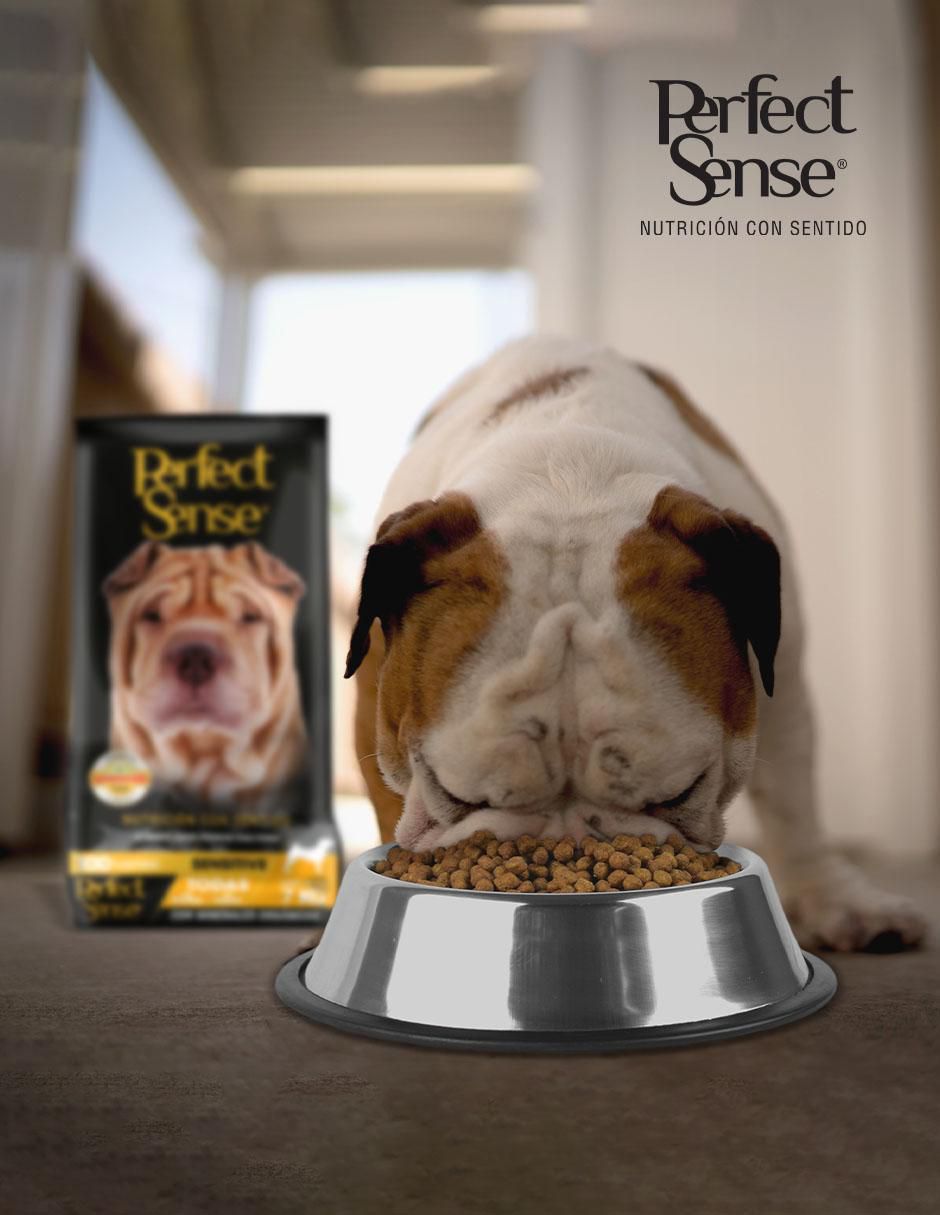 Croqueta de pollo para perro etapa adulto contenido 7 kg 4