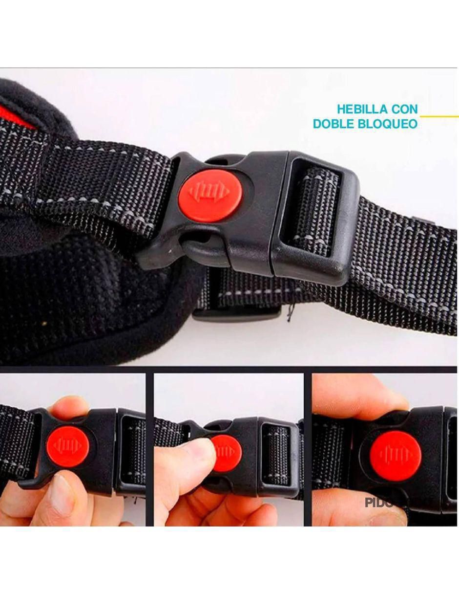 Pechera para perro 5