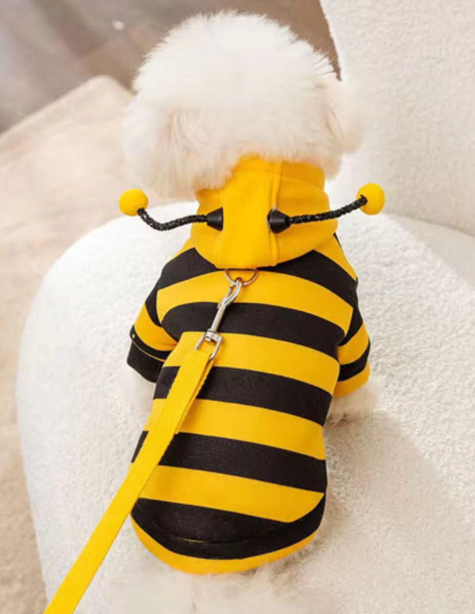 Sudadera para mascota 2