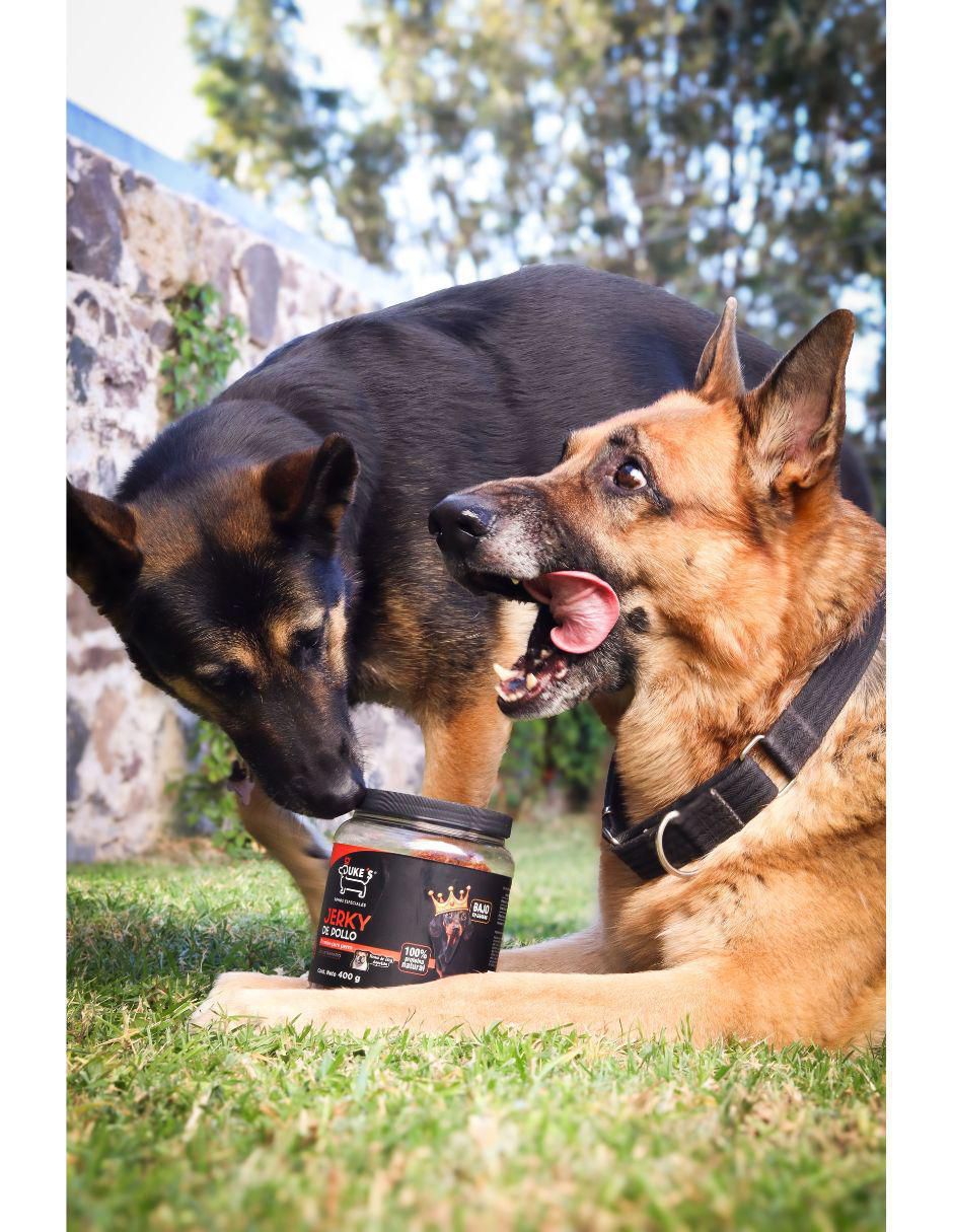 Shampoo para perro 5