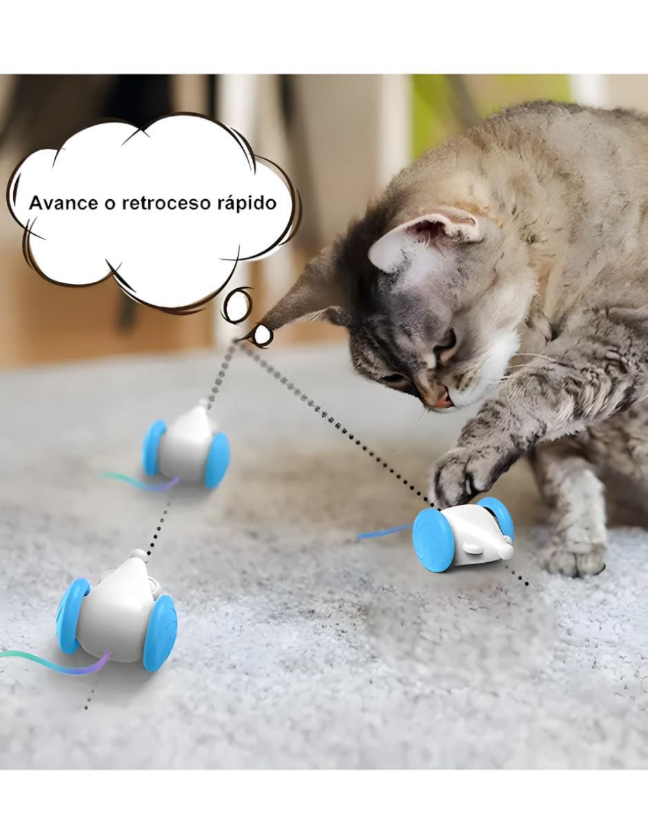 Juguete mecánico para gato Pets 3