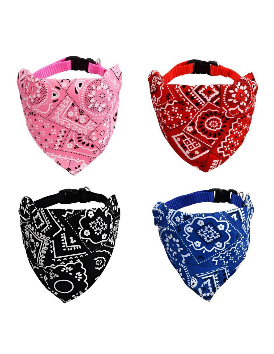 Set collar para perro