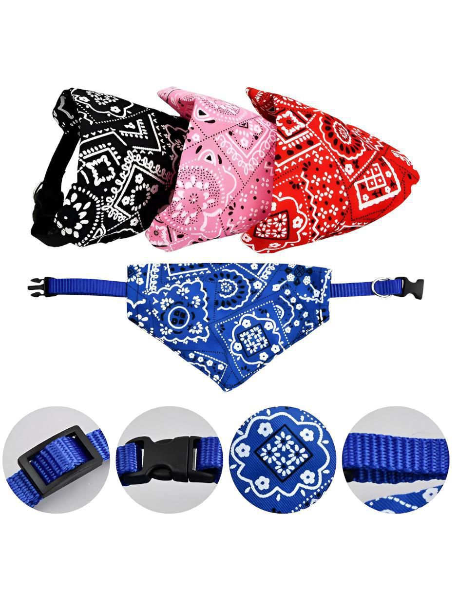 Set collar para perro 2