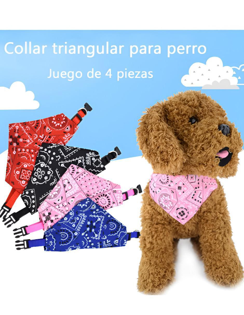 Set collar para perro 3