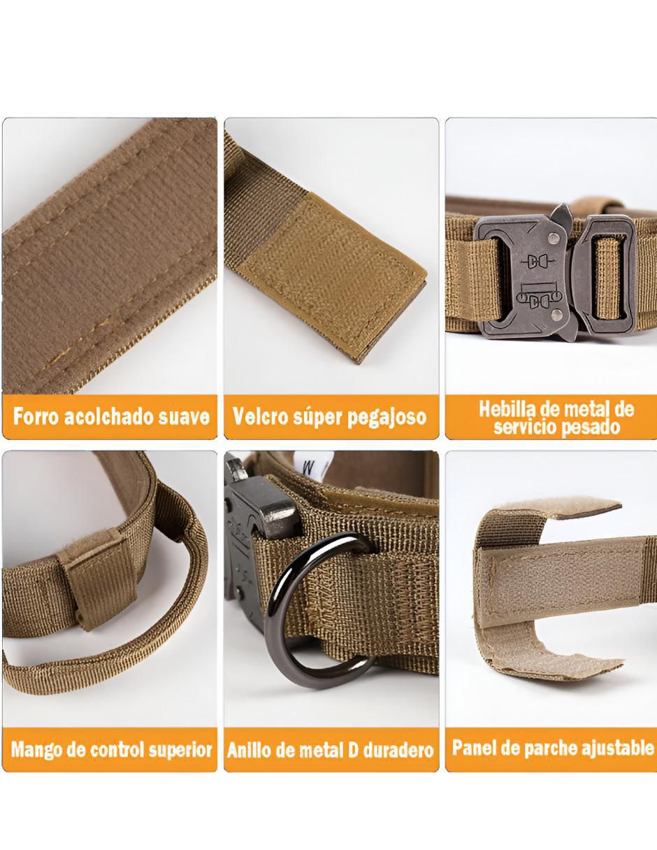 Collar para perro 2