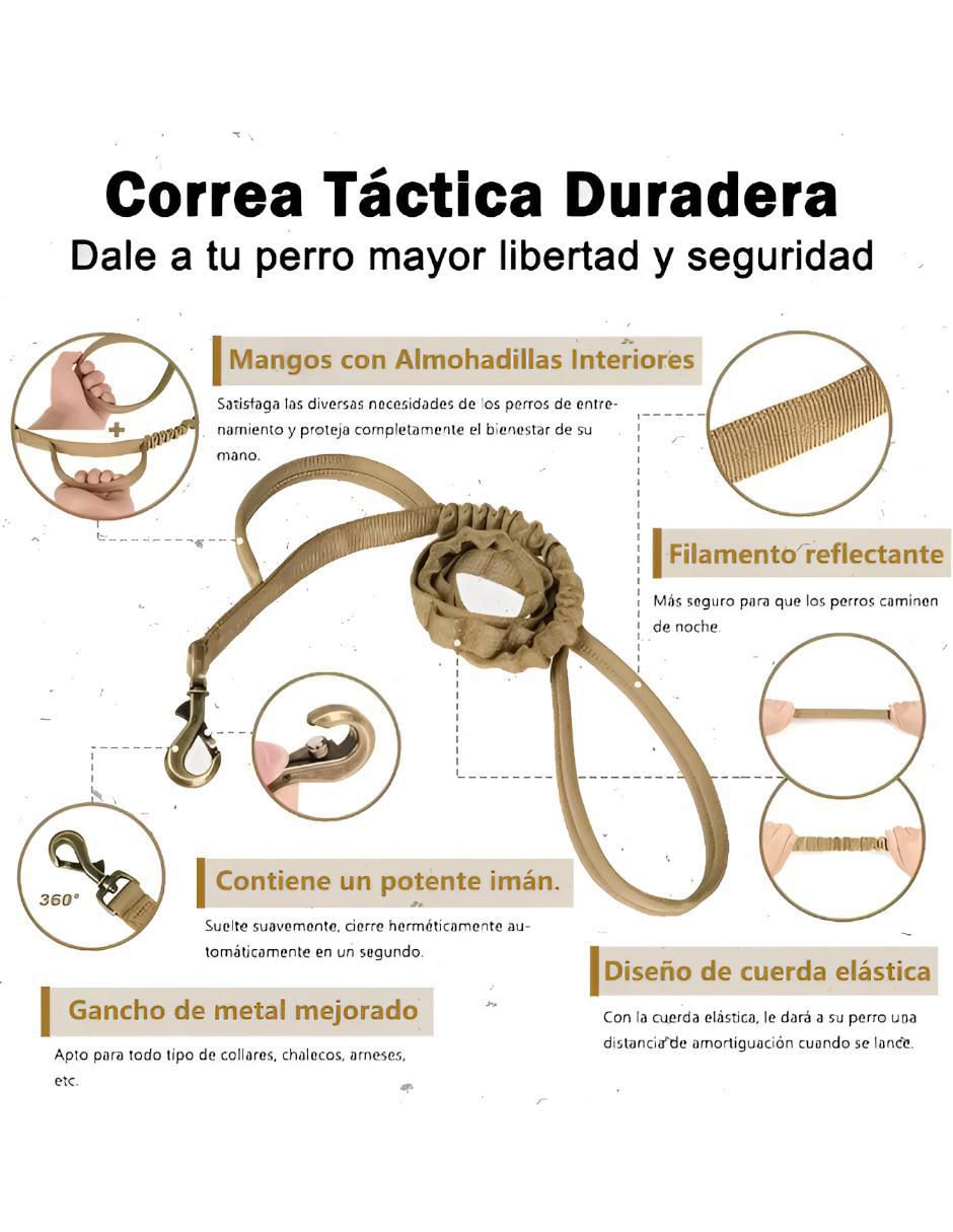Collar para perro 3