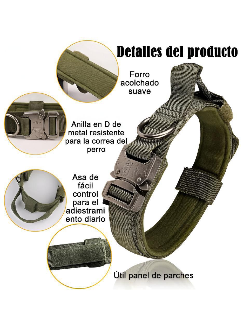 Collar para perro 2