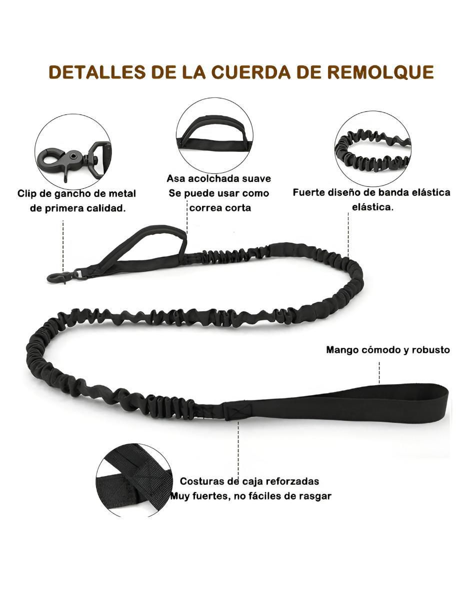 Collar para perro 3