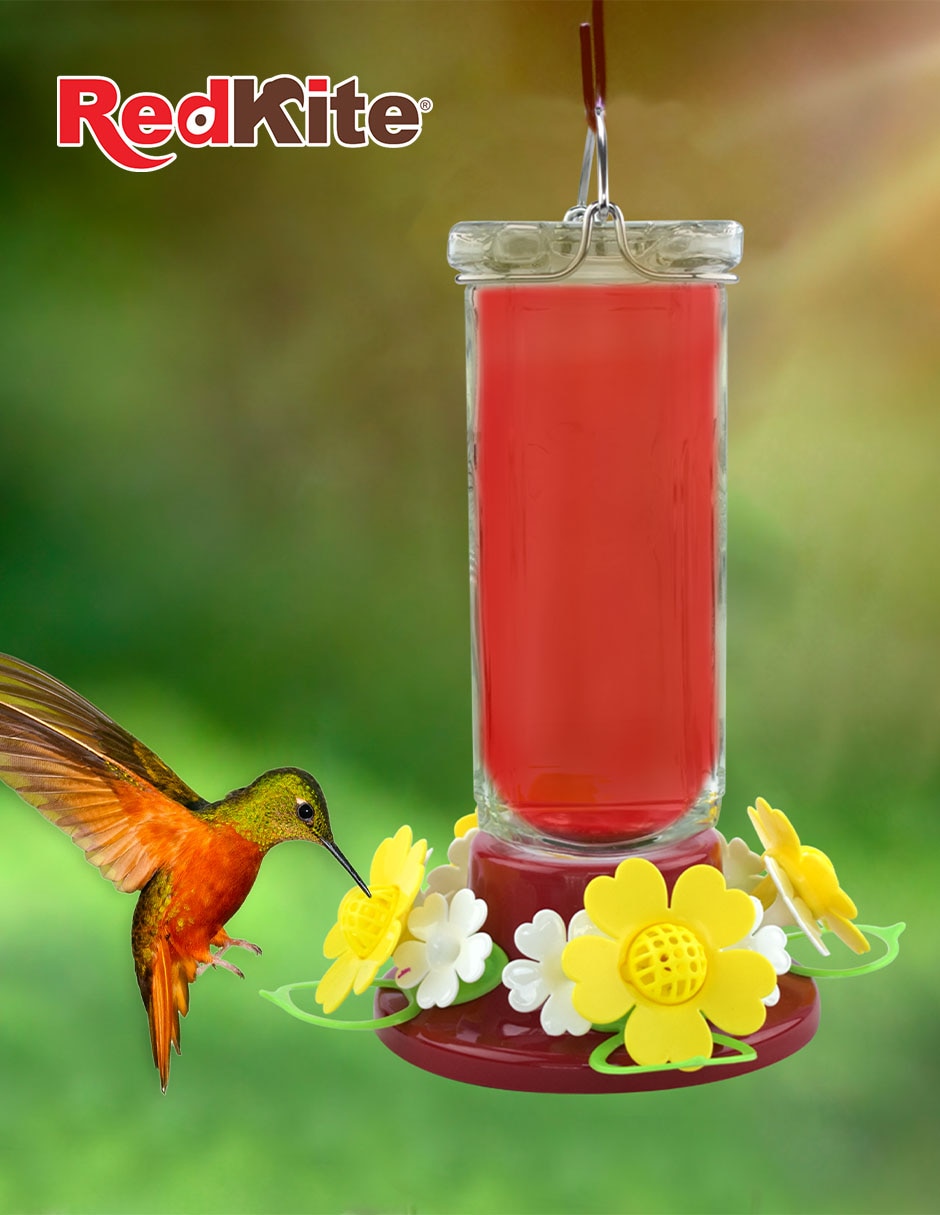 Bebedero transparente para colibri 600 ml 2