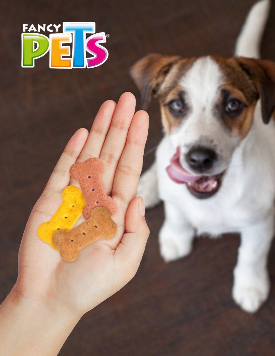 Galletas de diferentes sabores cuidado general para perro 400 g 4