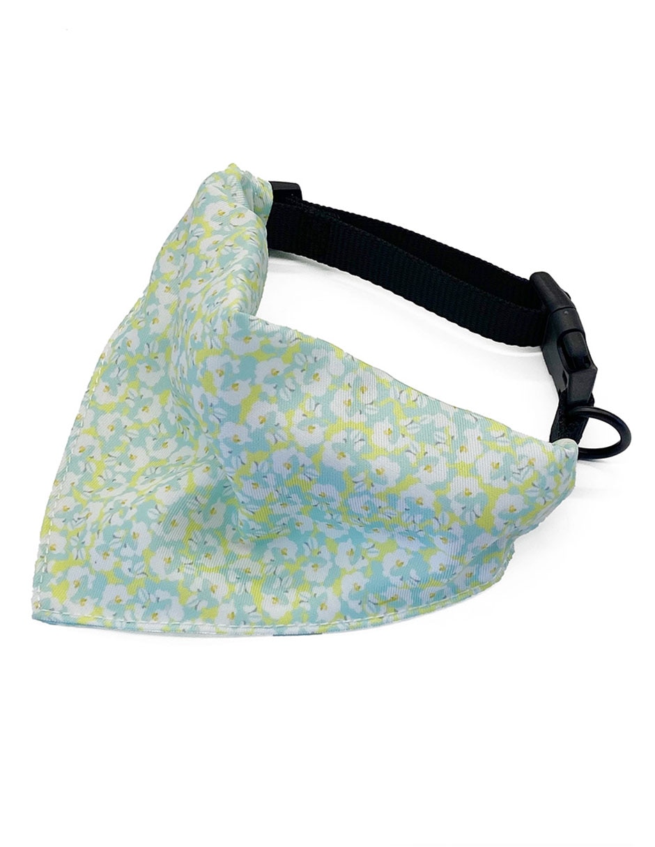 Pañuelo para perro