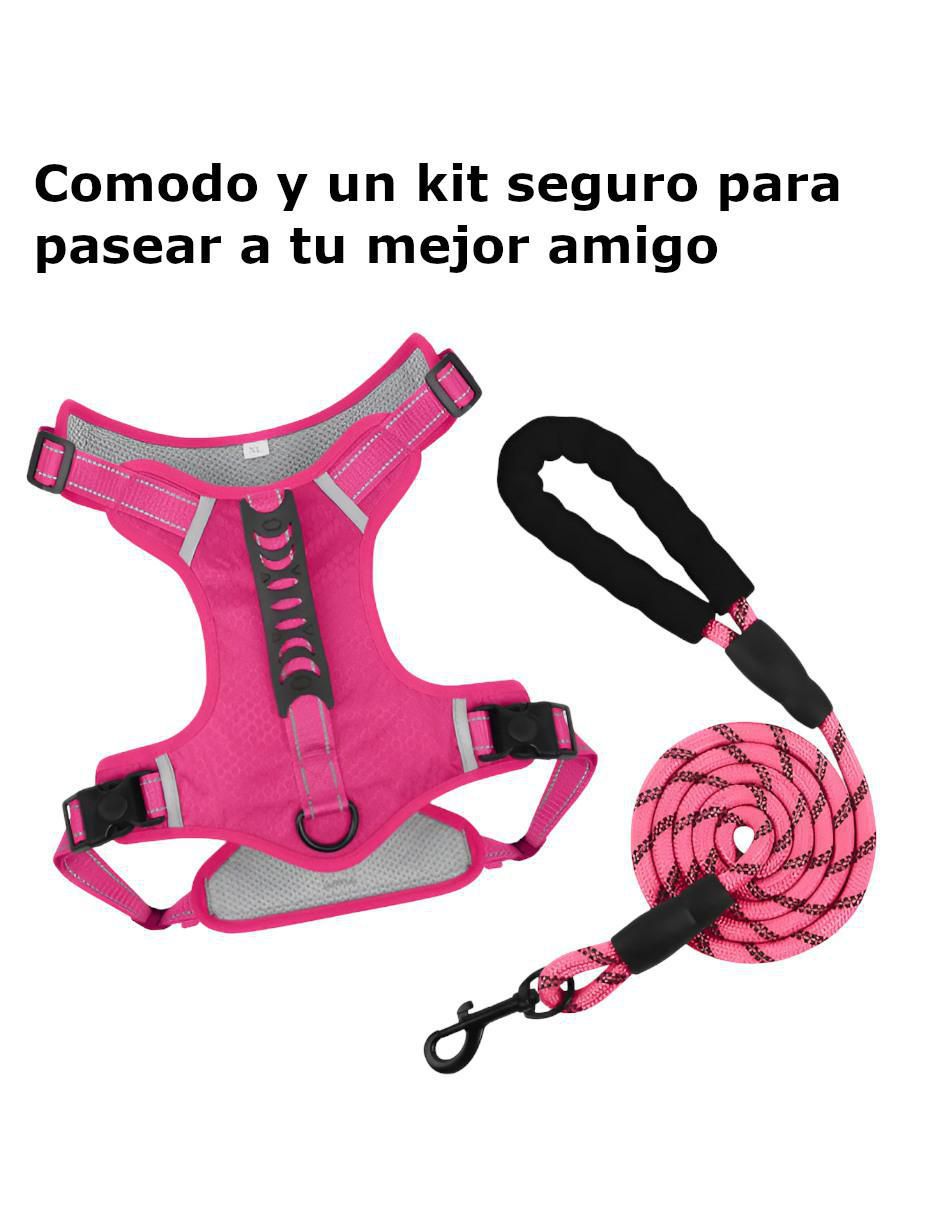 Pechera para perro 3