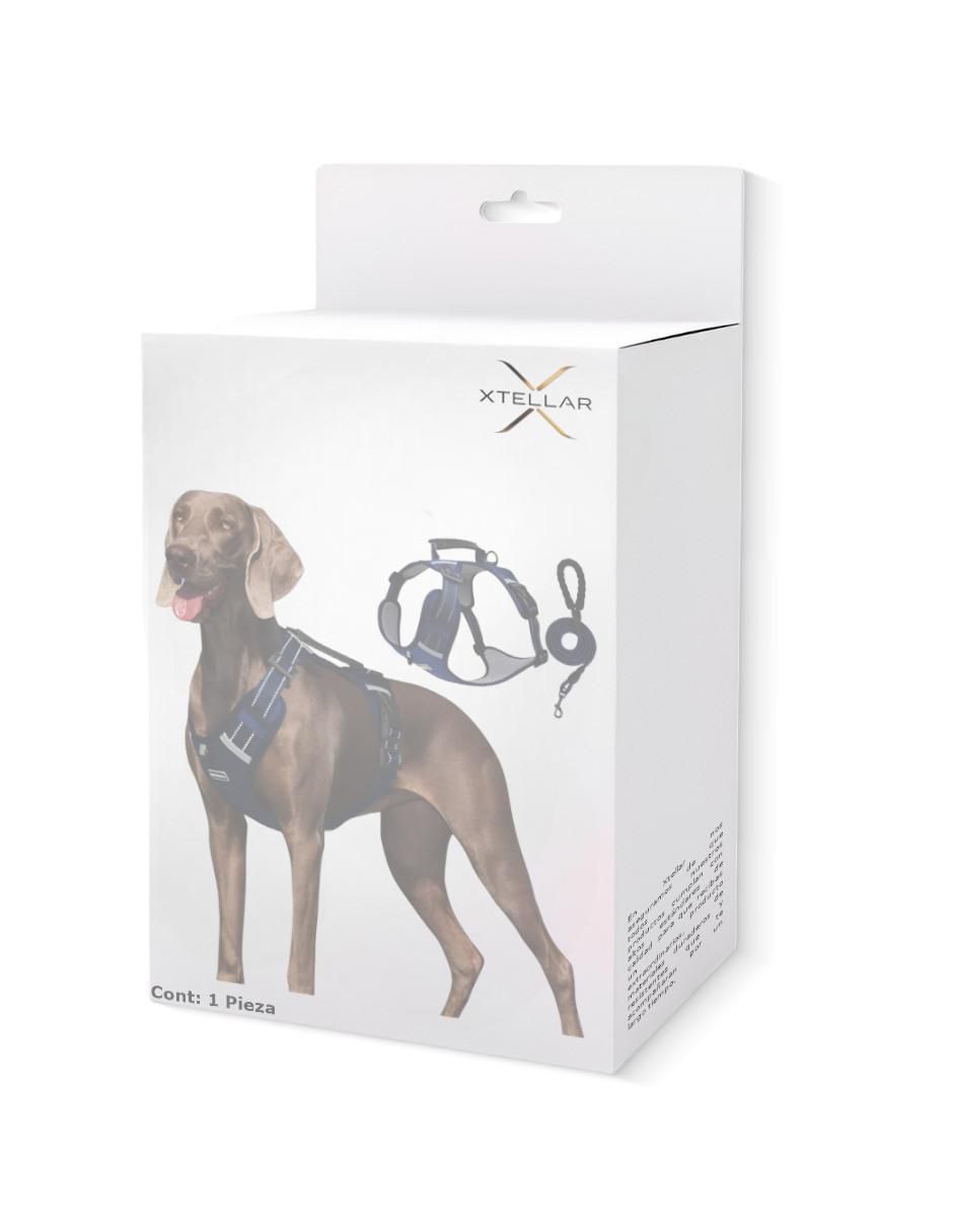 Pechera para perro 4