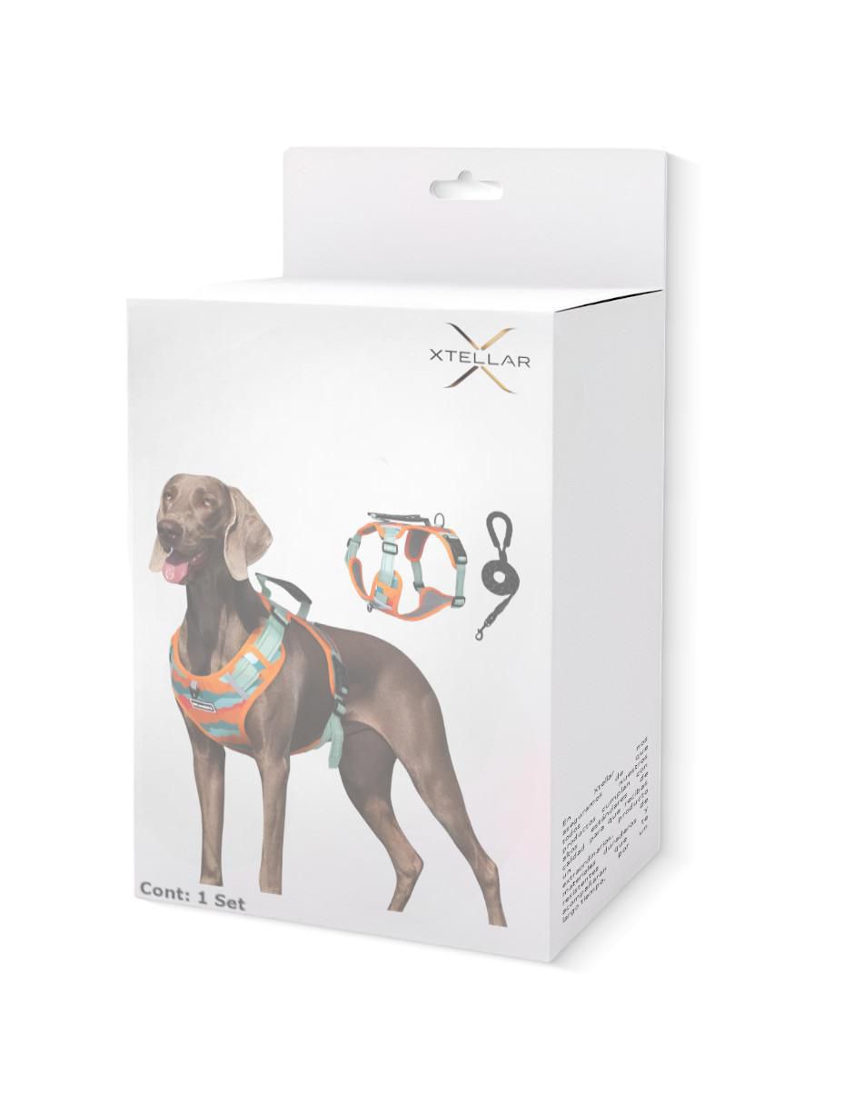 Pechera para perro 4
