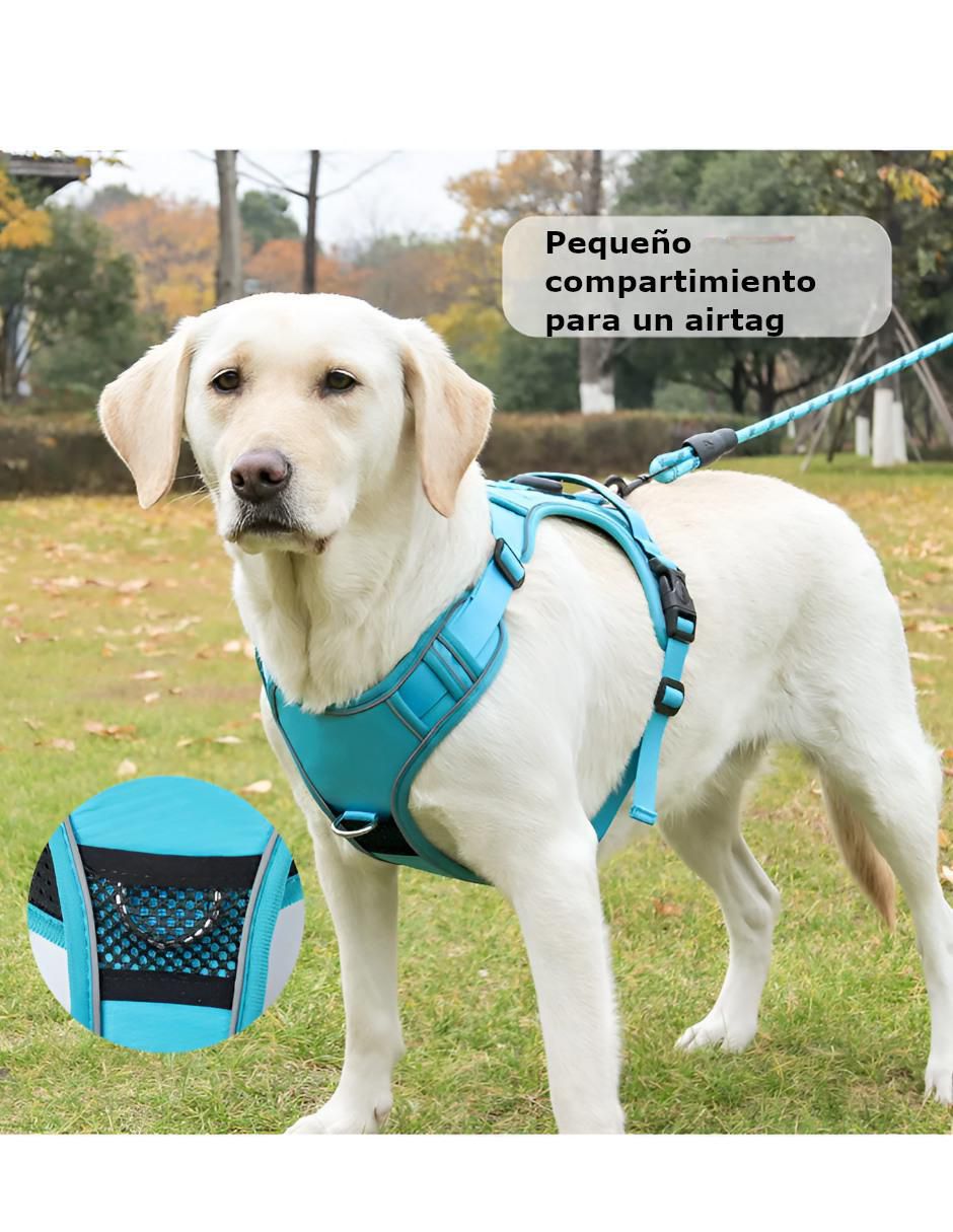 Pechera para perro 2