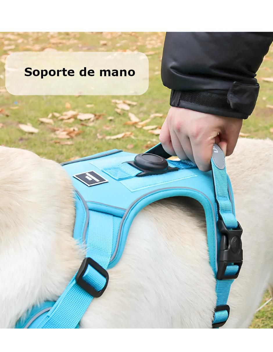 Pechera para perro 3