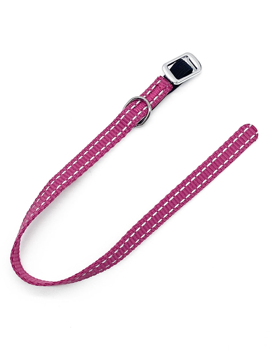 Collar para perro 2