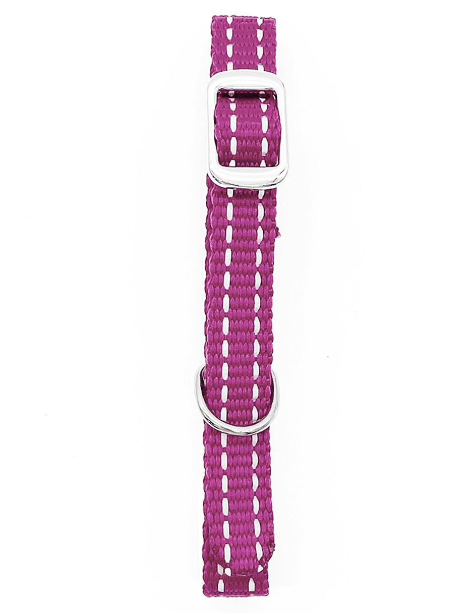 Collar para perro 3