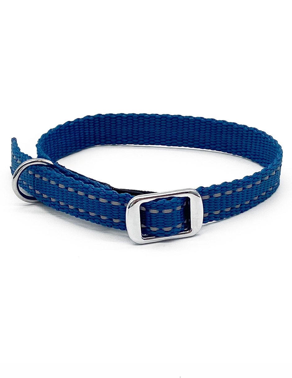 Collar para perro