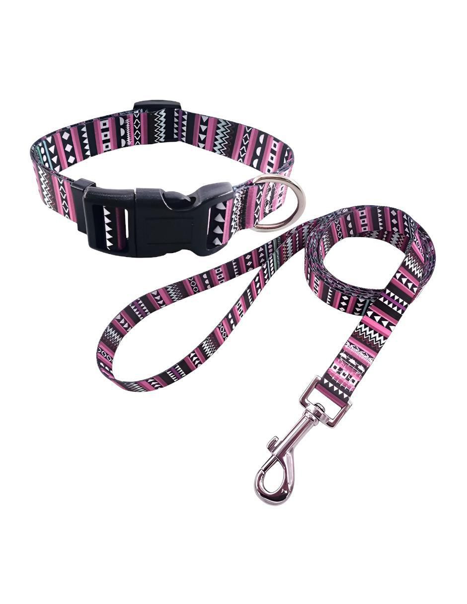 Correa y collar de nylon para perro y gato
