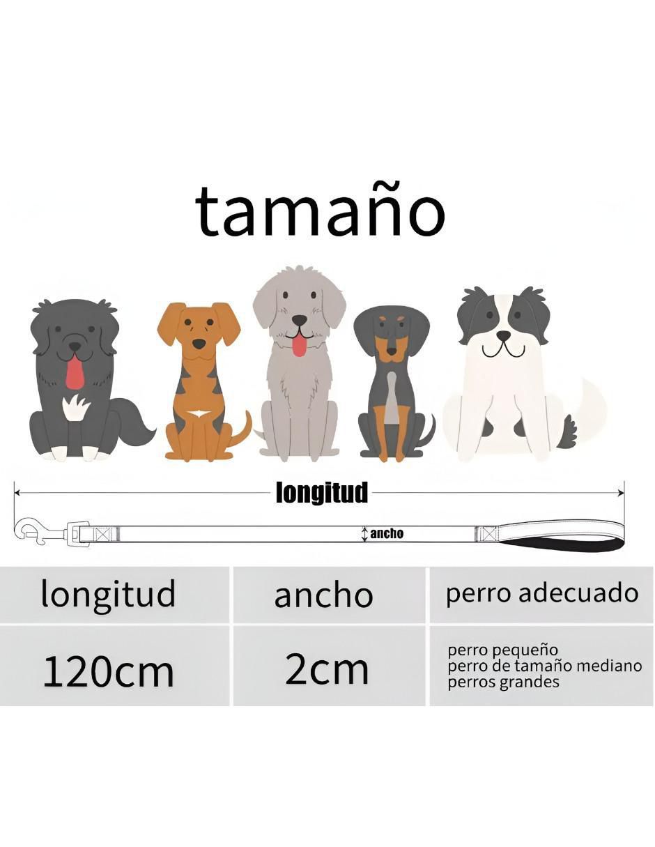 Correa y collar de nylon para perro y gato 4