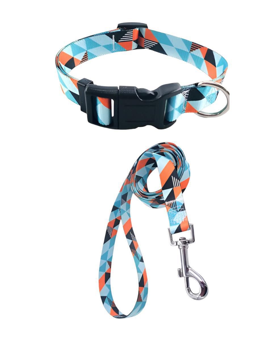 Correa y collar de nylon para perro y gato