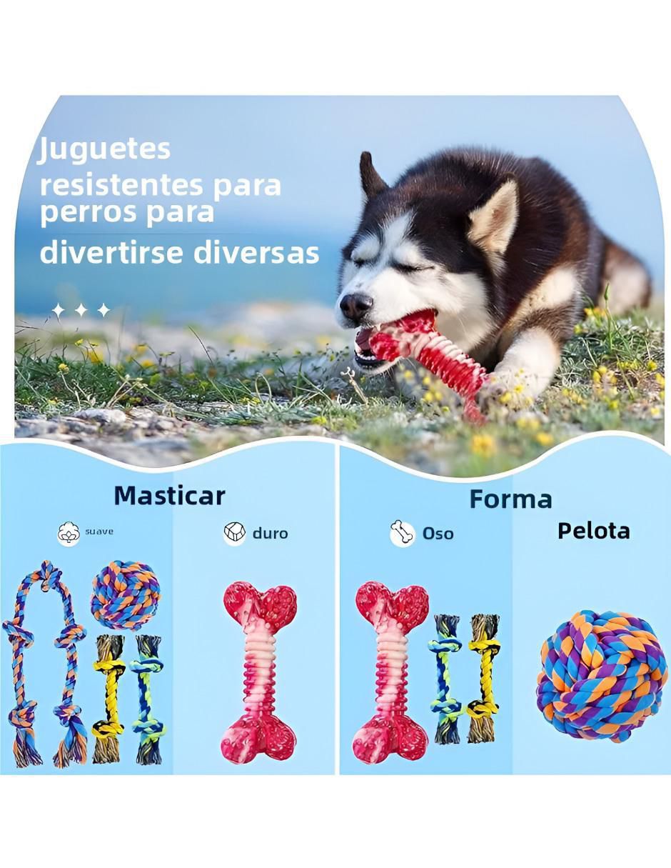 Juguete para perro 3