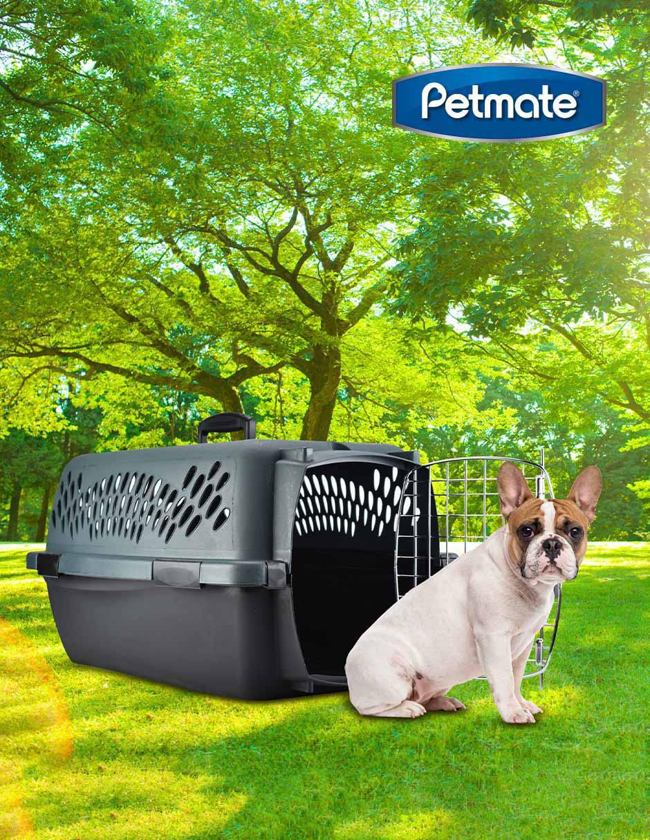 Transportadora para mascota 4